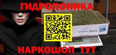 гашик Краснодар
