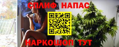 гашик Краснодар