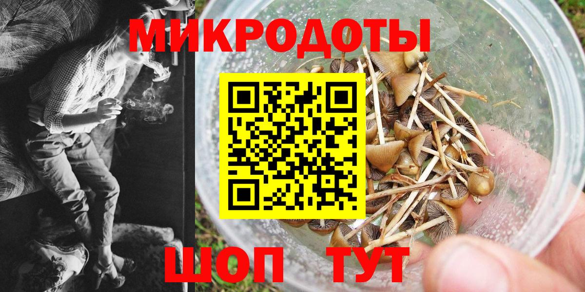 Галлюциногенные грибы Psilocybine cubensis  Вход с VPN  Керчь 