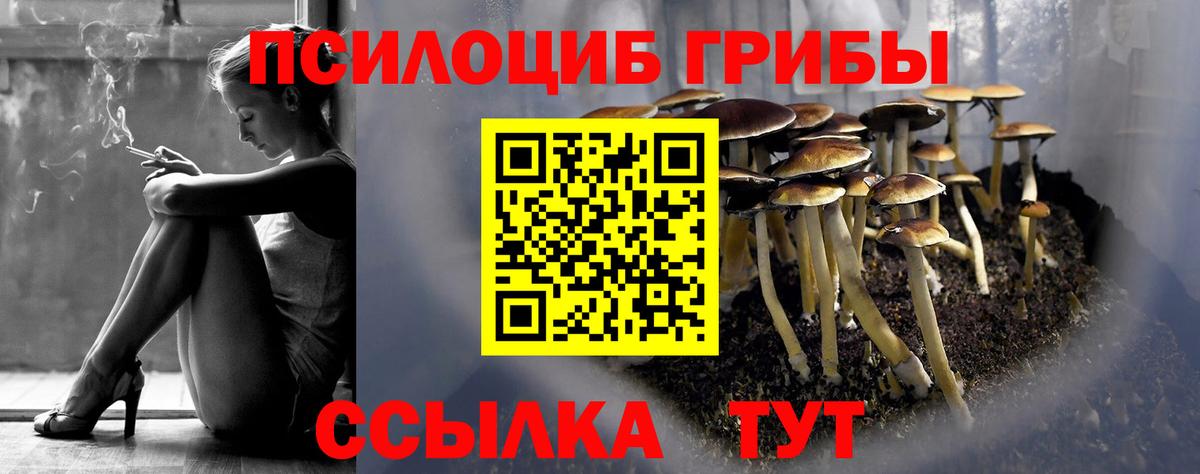Псилоцибиновые грибы Psilocybe Керчь